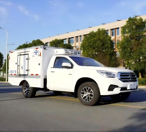isuzu pickup freezer truck (5)