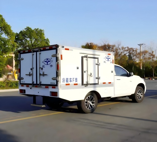 isuzu pickup freezer truck (6)